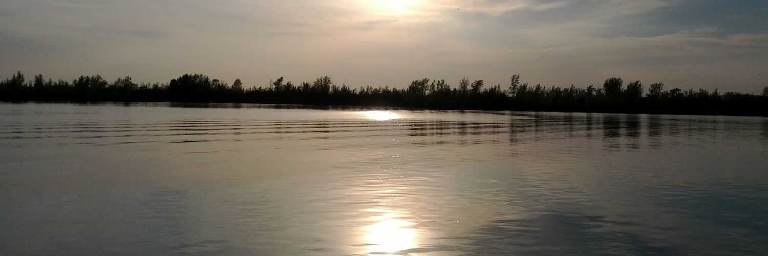 tuandense's profile banner image
