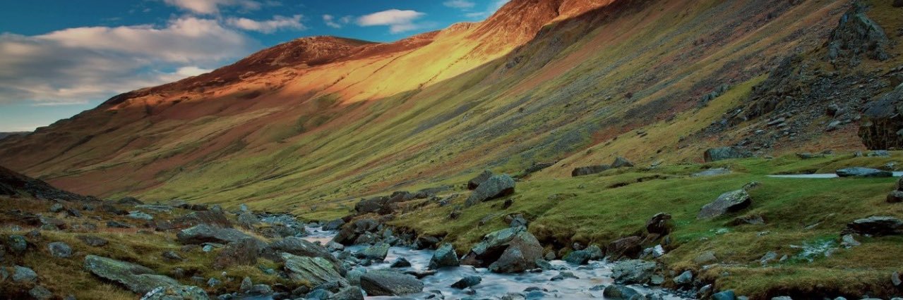 dnavneet229's profile banner image