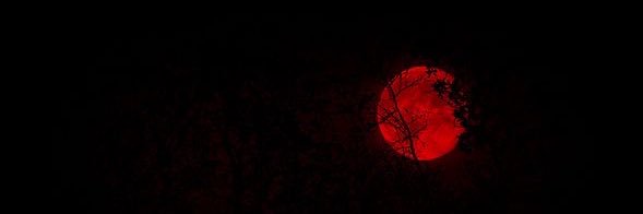 Nara⏾ banner