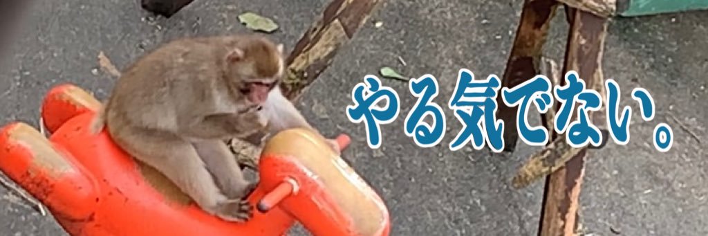 asafuu428's profile banner image