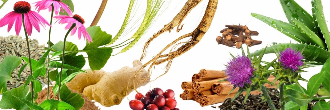 modelherbs's profile banner image