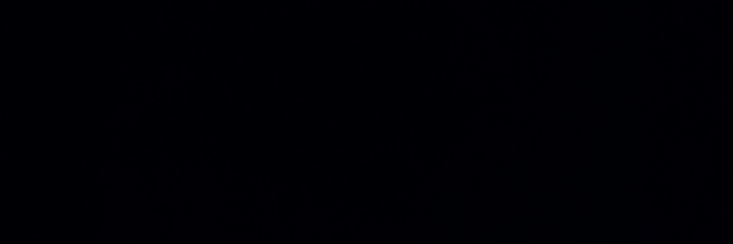 Leon banner