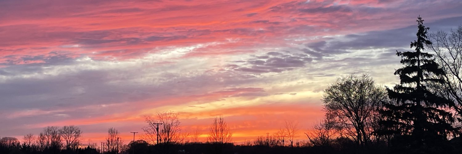 Bex313586's profile banner image