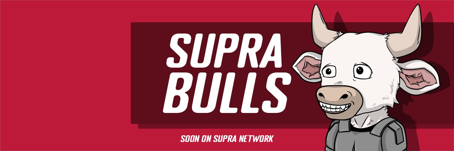 Supra Bulls banner