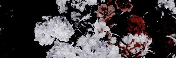 RelAngellllll Profile Banner
