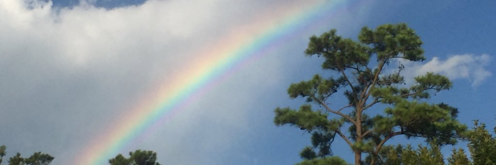 Jillking_5's profile banner image