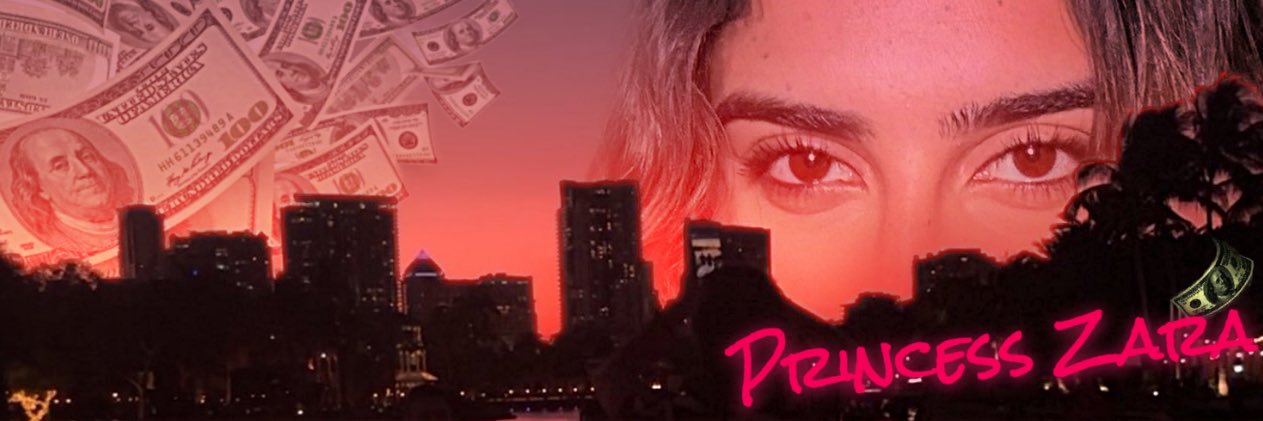 Princess Zara banner