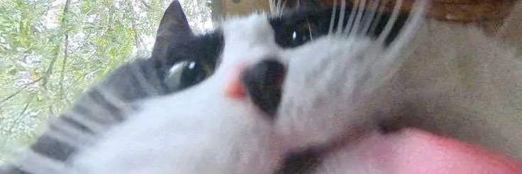 lov3core's profile banner image