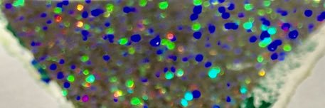 mymt1016's profile banner image