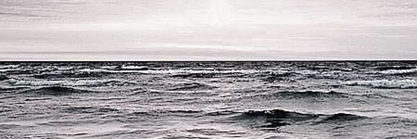 Rommert Profile Banner