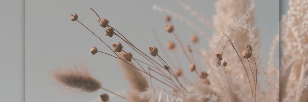 coco_cafe_'s profile banner image