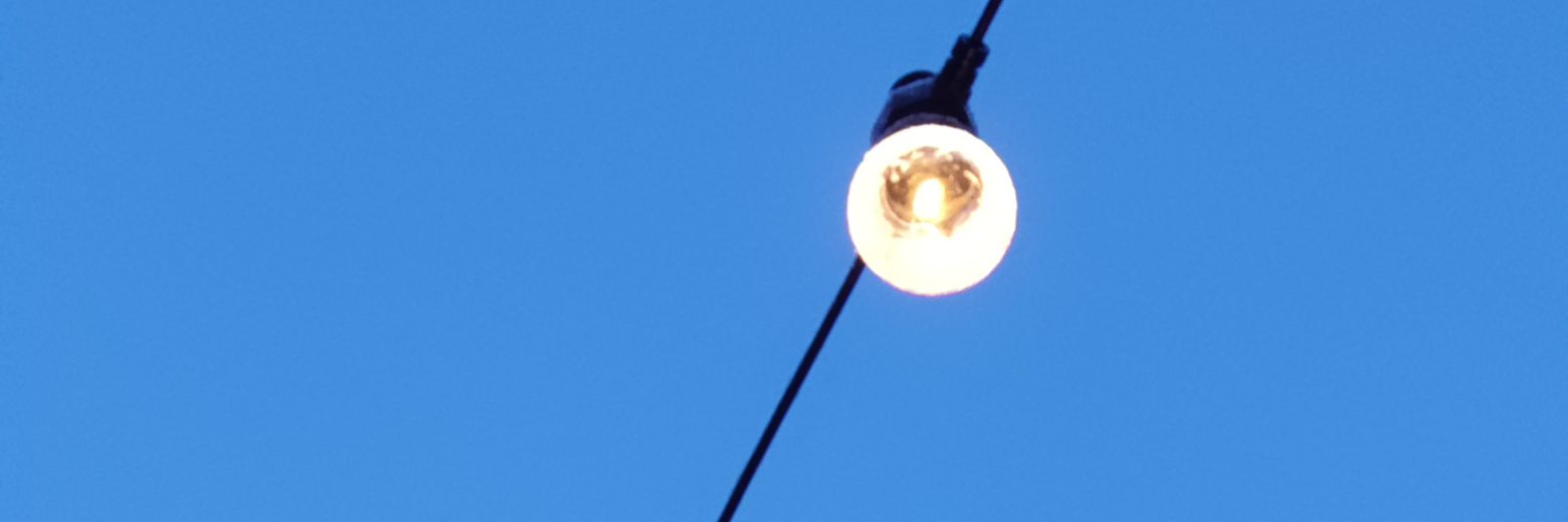 Daniel Blecher 🌻 banner