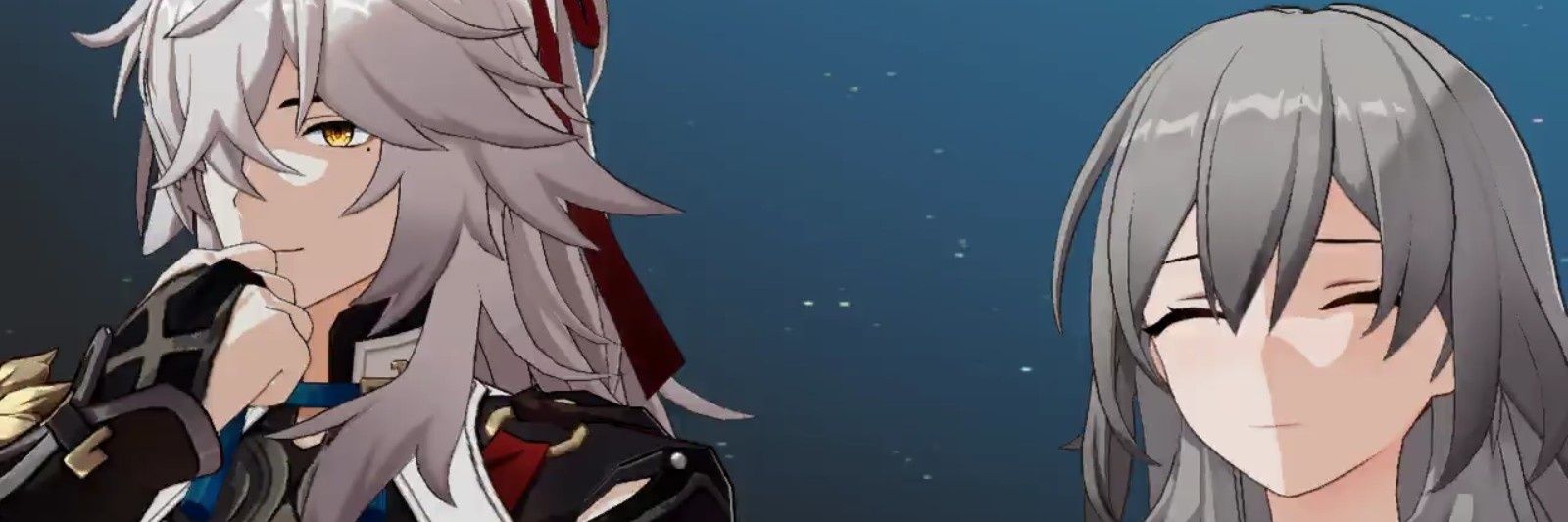 Nasselemaque's banner