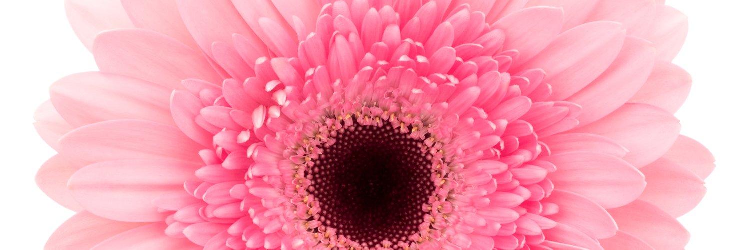 BayviewFlowers's profile banner image
