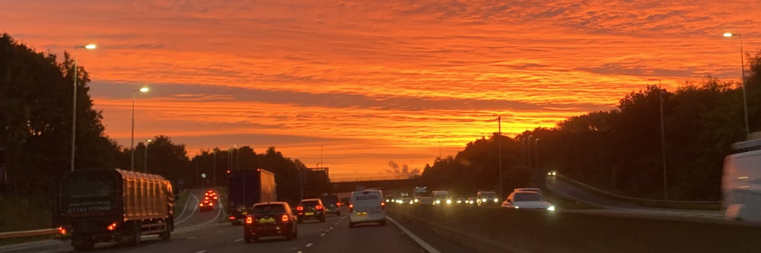 Theresa Nicholson 🇺🇦 banner