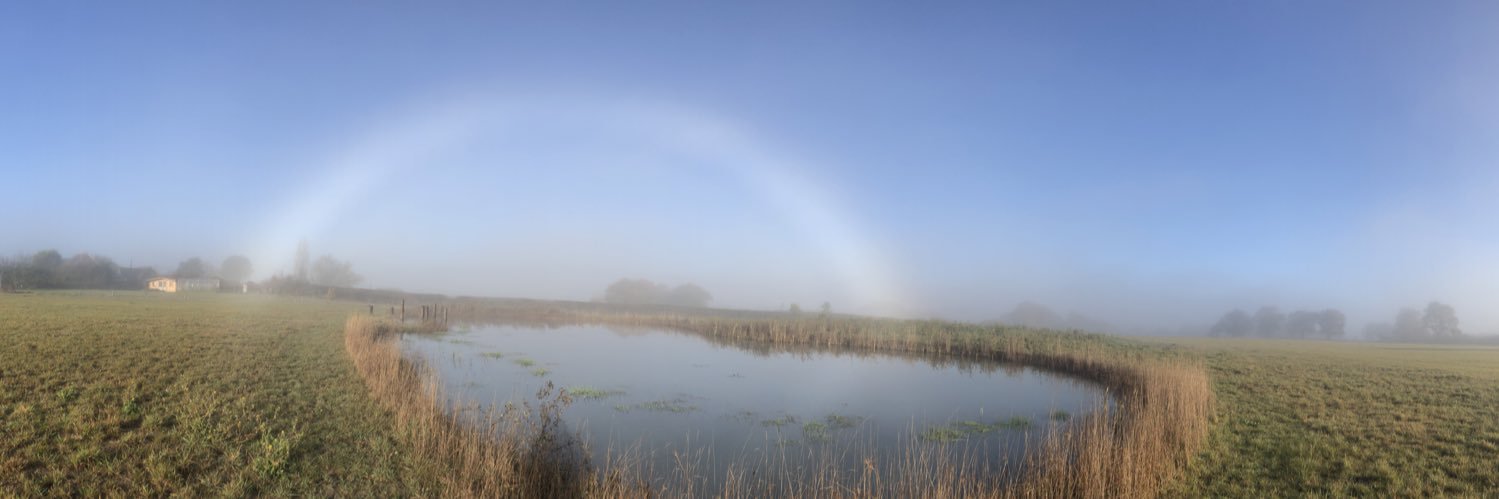 Jessica Evershed banner