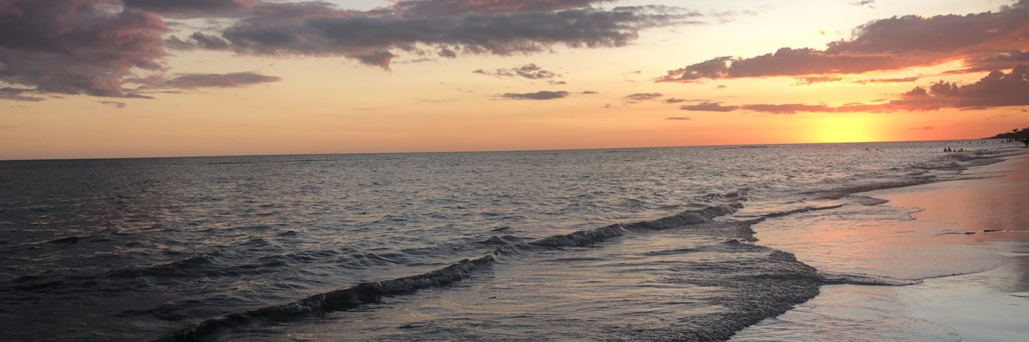MsGuzmann's profile banner image