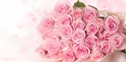 shastadina's profile banner image
