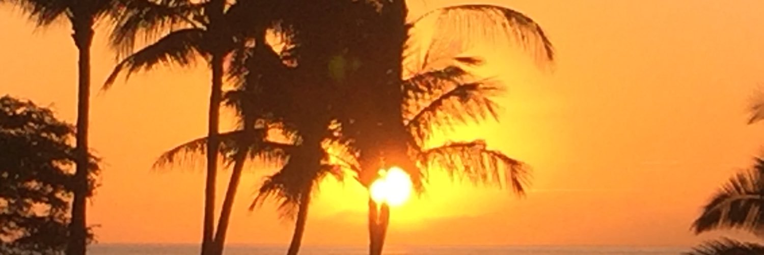 Navya Rehani Gupta banner