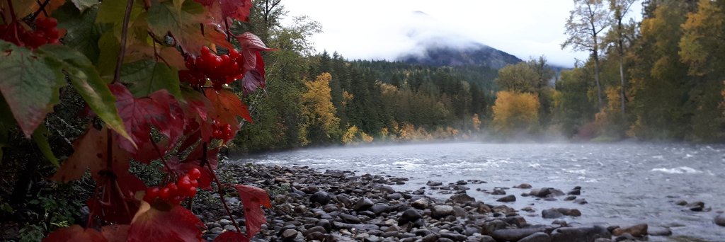 Stan Proboszcz banner