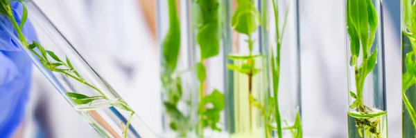 CatSakataUPV Profile Banner