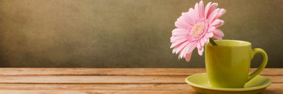 MShippersWrites's profile banner image