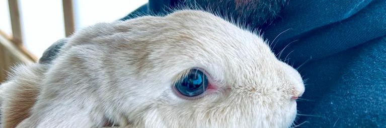DanielMartinR5's profile banner image