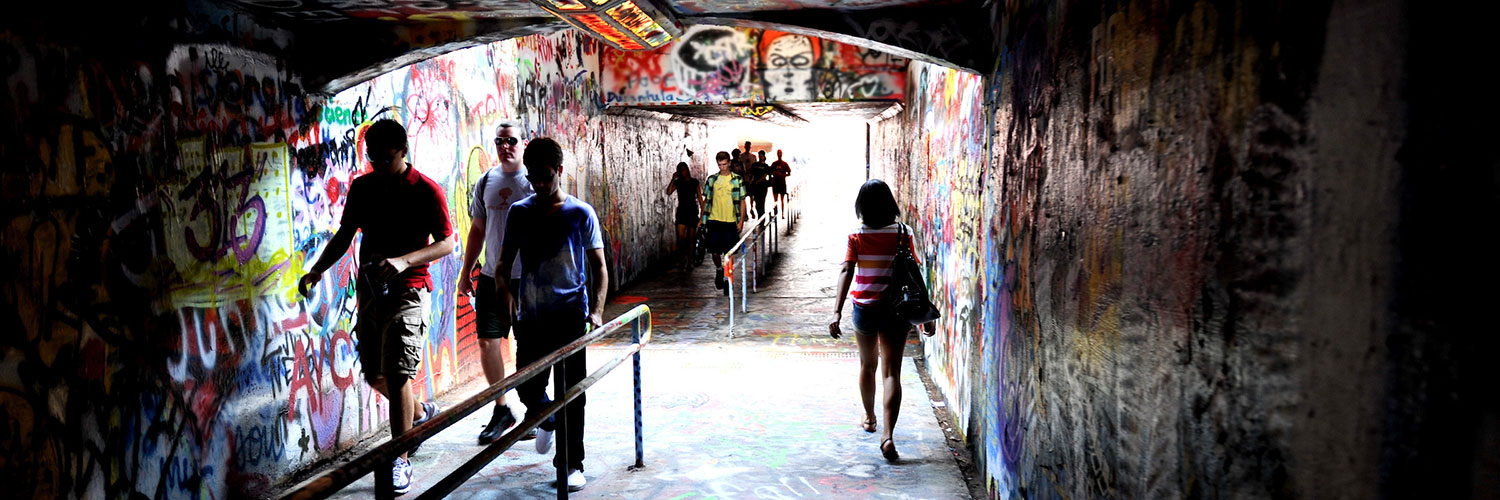 NC State OIED banner