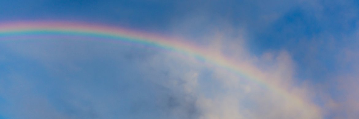 carolinxetc's profile banner image