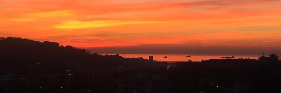RadoSustersic's profile banner image