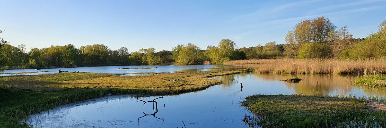 Katharine Bowgen banner