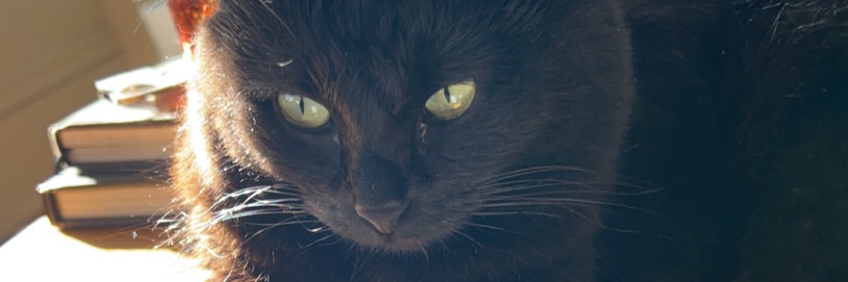ahenry764's profile banner image