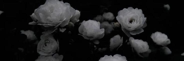 お誕生日おめでとう♡ banner