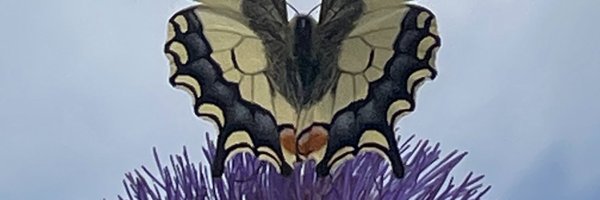 ManuelaJoore Profile Banner