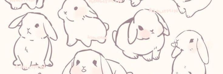 Dani Dae banner