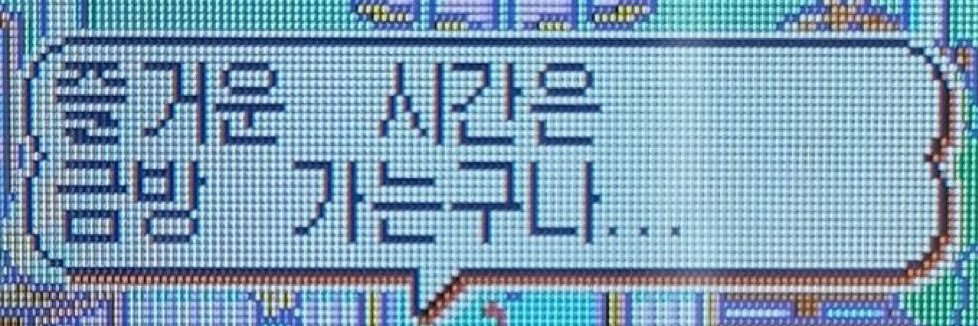 짱밥이 banner