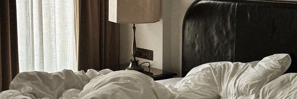 v1rtualnsanity Profile Banner