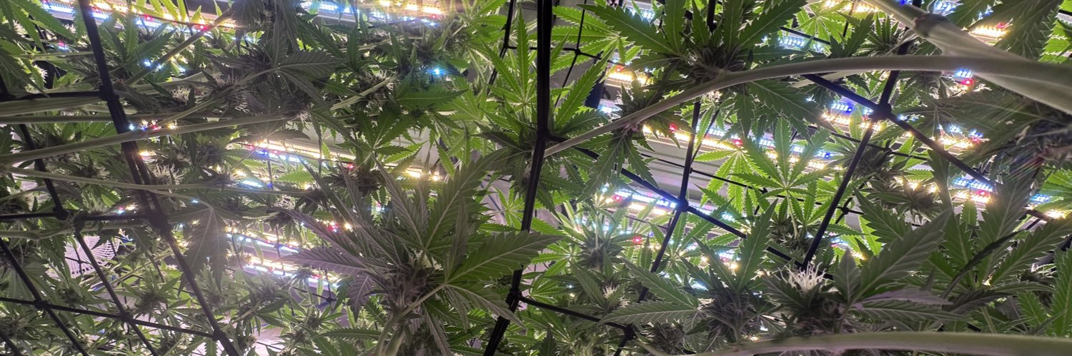 Meat & Potato Co. banner