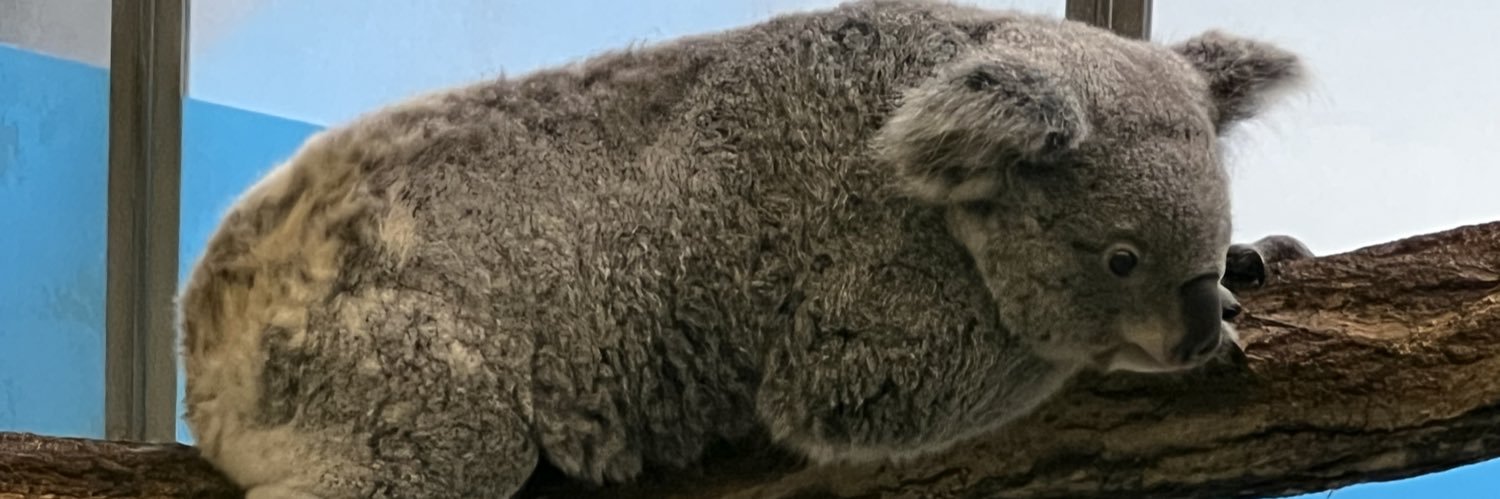 🍡だんご banner