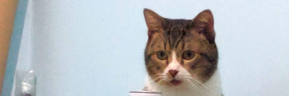 Refahrezy's profile banner image