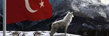 OylOnur's profile banner image