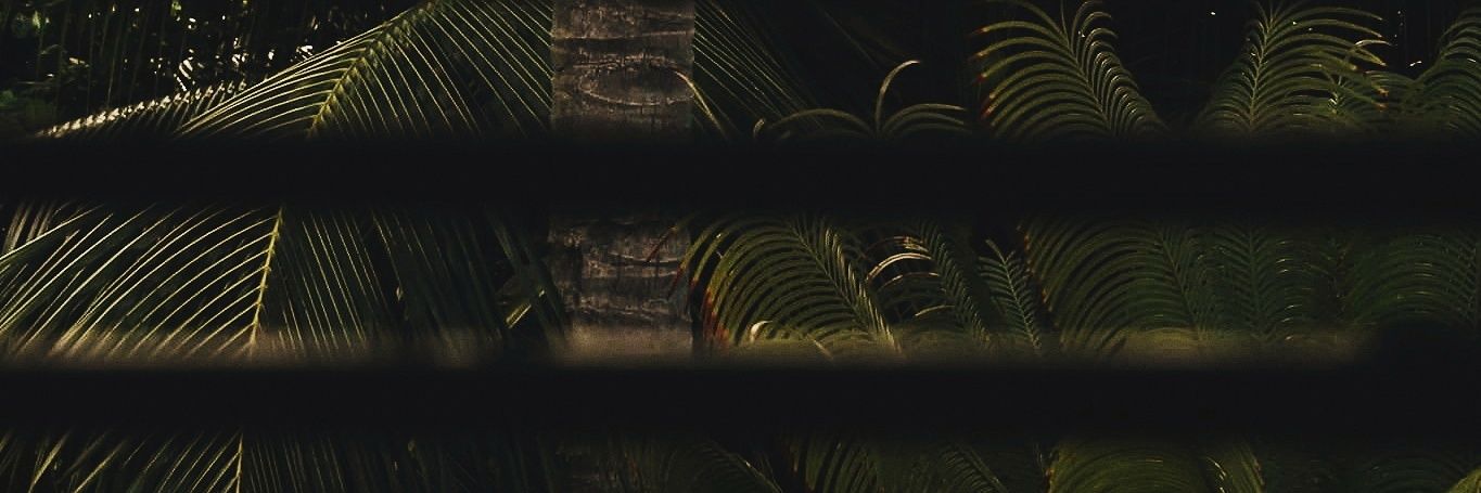 MPastene's profile banner image