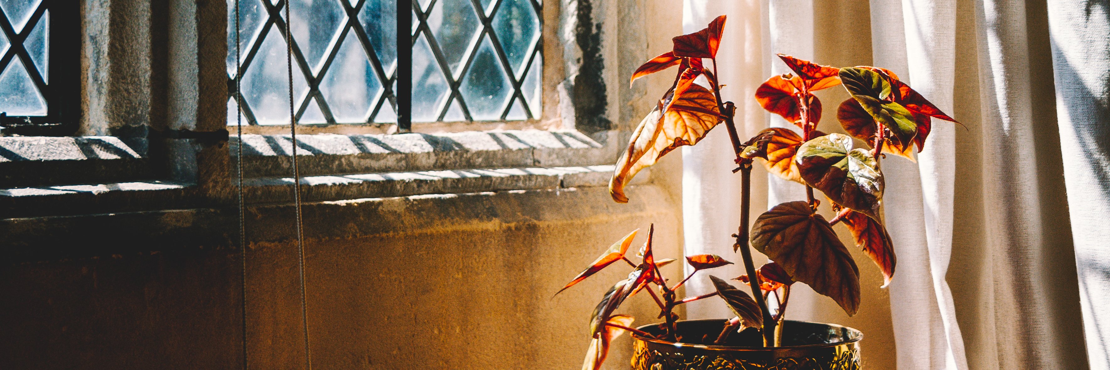 guermanb's profile banner image