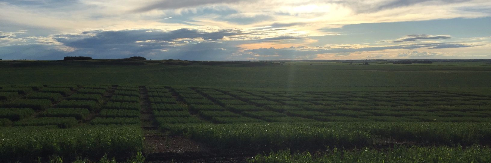 UYMI Agronomy banner