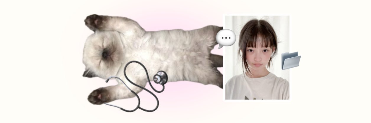 : 𝙥𝒊𝙣𝙜 ━✿✿✿ banner