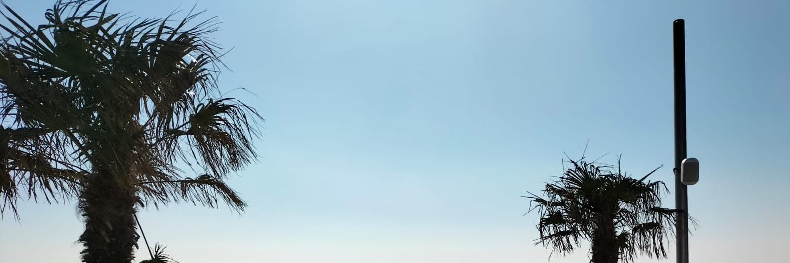 AmelK100 banner