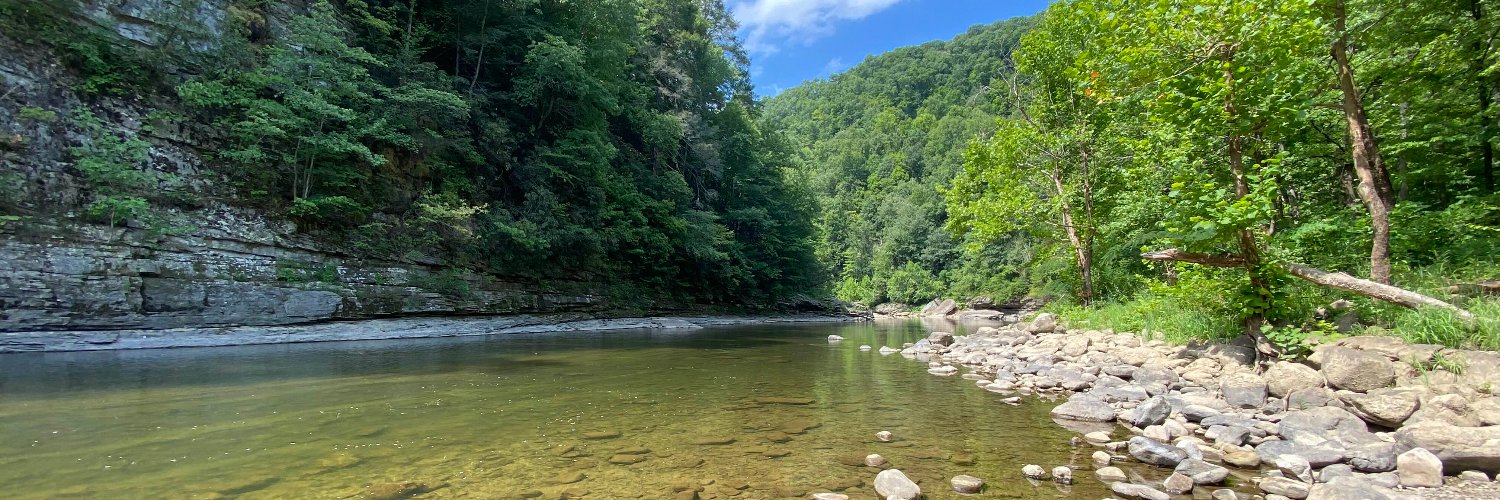 Appalachian Pixie banner