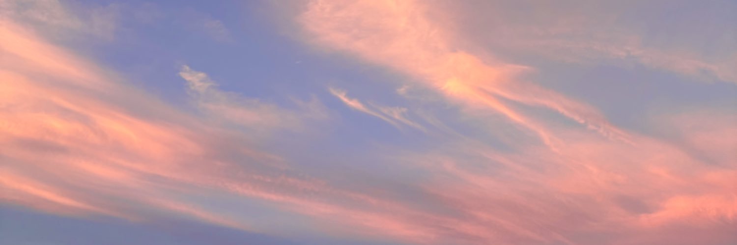 Gregre_Turtle's profile banner image