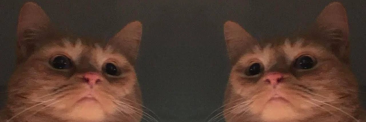 Right_Luck_RL's profile banner image