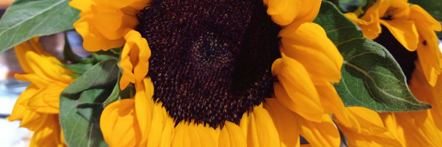 Gloria_Magro's profile banner image